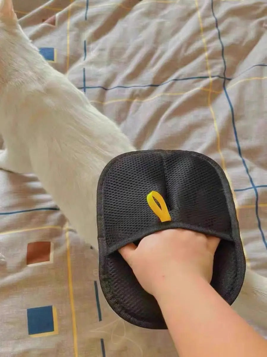 Glove used on a bed next to a white cat