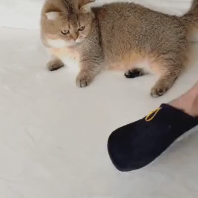 Glove lifting hair off a rug