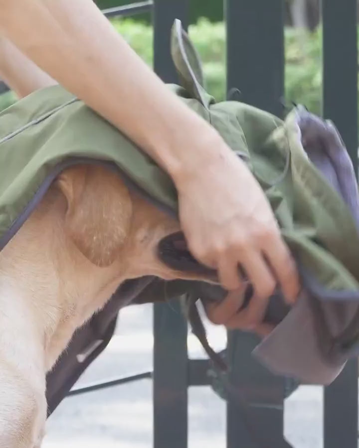 Warm Winter Dog Coat — high warm collar