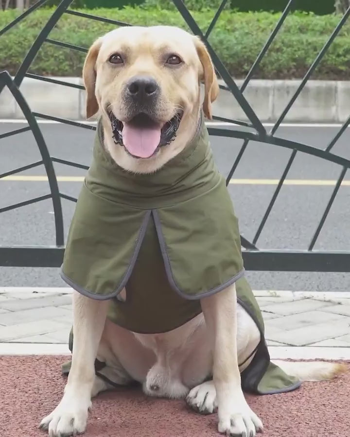 Warm Winter Dog Coat — free movement