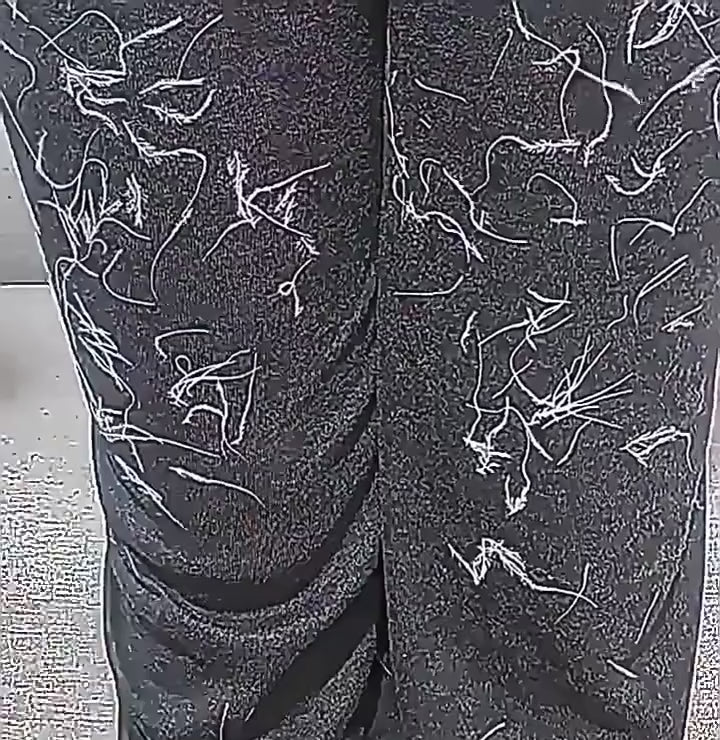 Wiping pet hair off black trousers